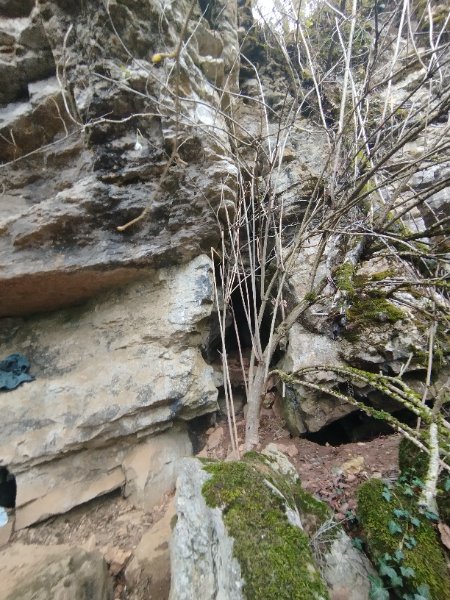 Trou aux insectes (Sombernon) - Vue de loin
Fichier manquant